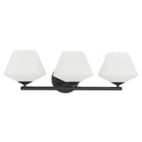 Celestial Valley 3 Light Vanity Light W3W1 - product image 1