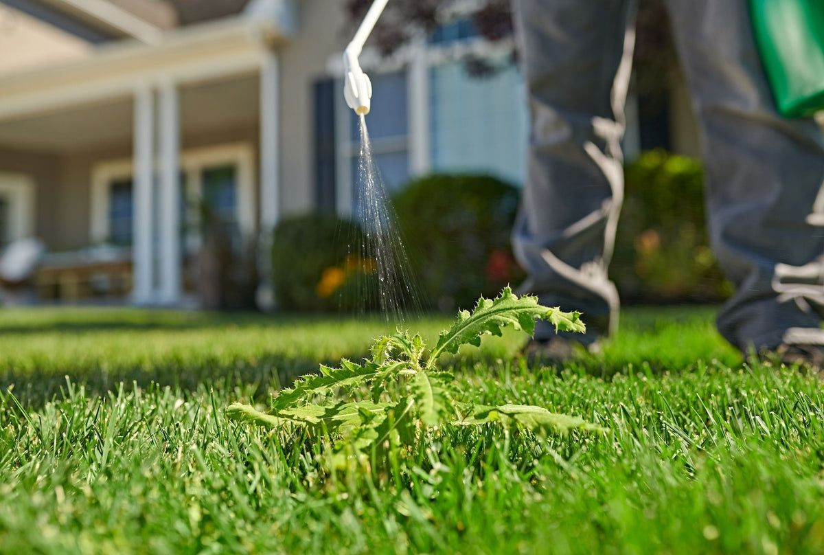 Killex Lawn Weed Control with Wand, 4-L K1F0 - product image 4